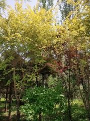 2010206
