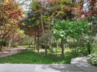 2010202