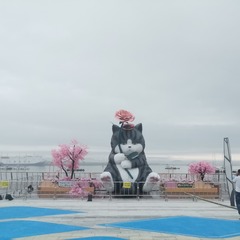 814