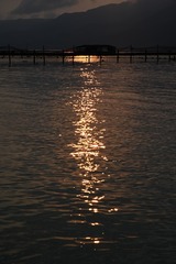 56722385-71CB-440A-B033-4F26269CF123/L0/001