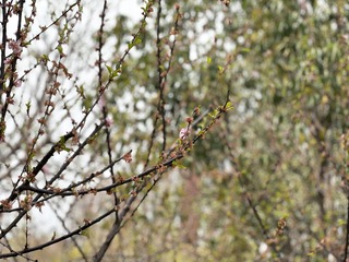 5E75D507-9CF9-453E-8C7D-83BBD6FDED33/L0/001