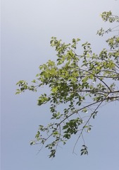 1542728