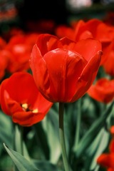 E6D92794-7FB9-4E56-8555-39CEDAFBBEA1/L0/001