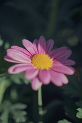 8F97B668-ED0E-4414-AD89-8BCD26A75EF5/L0/001