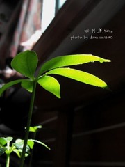 静默。