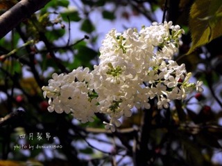 密密匝匝。