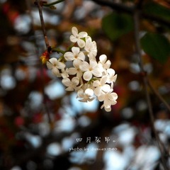 。