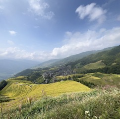 6D06962B-D10E-4C8A-A8EB-785BEF1061C9/L0/001