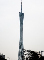 75543