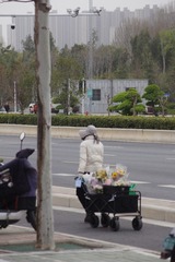 DSC00361