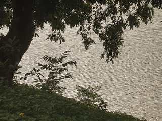 0D7C7721-FDF8-4191-9B6A-59EFA7171A00/L0/001