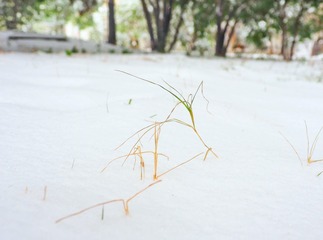 199772