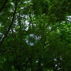 40569118-FA27-44FE-9531-659891D0D96B/L0/001