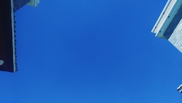 1000335473