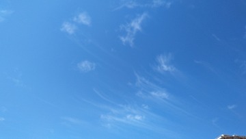 1000335479
