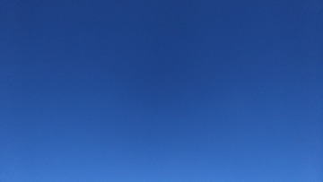 1000335474