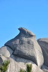 1000043139