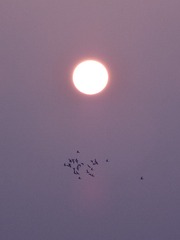 3E744020-4B85-4E18-B4F2-FE8125409890/L0/001