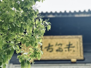 2861B220-A626-46C0-8AB8-39D584AF46B2/L0/001