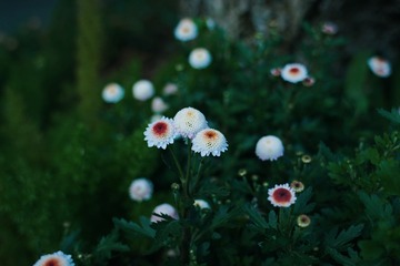 0EC8CD8E-E054-4E78-9CCB-72DA5B8DD37D/L0/001
