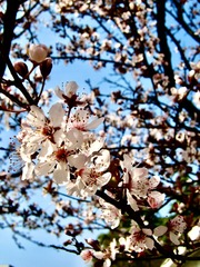 F876CD9B-32EB-4FCD-8B2F-DD38C9B74E08/L0/001