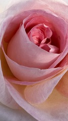 A5D7C6E2-93C1-447F-8EF1-09630B17998C/L0/001