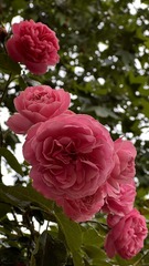 AB5CF4A3-2BC8-4204-94EC-9FF2E3209079/L0/001