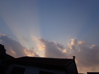 DSC01269