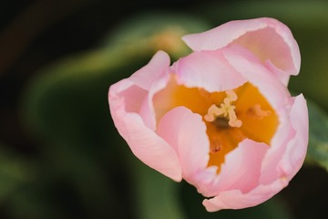 D824967E-0AFB-4562-BF2E-57A85871090A/L0/001