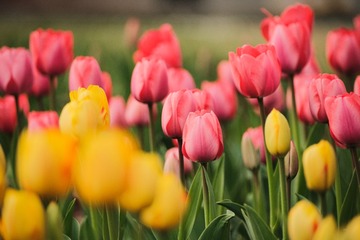 F64F776F-E3E5-4FF1-9D52-16E59D7BD908/L0/001