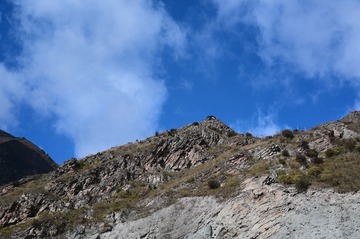 1000109253