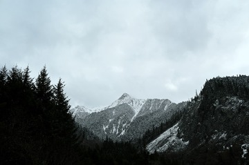 1000109274