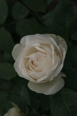 8BF683E5-8B9E-421C-BD43-C7E2AAFD2023/L0/001