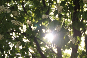 5E417E96-75FC-43C6-9ADD-1EA2A5124747/L0/001
