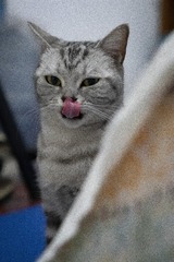 28376