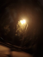 489833