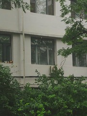 485061
