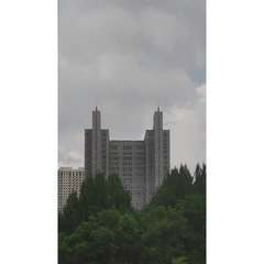 483917