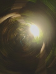 489353