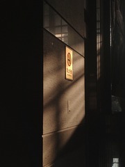 487356