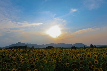 CA13CEA9-07D2-4D68-B636-4F83A30DBAF1/L0/001
