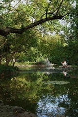 DSC01244.jpg