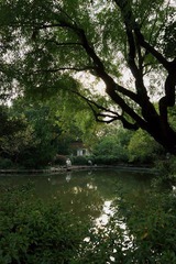 DSC01250.jpg