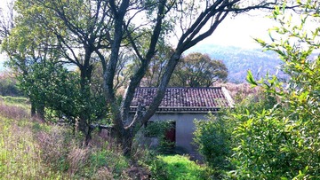 DSC_0145.jpg