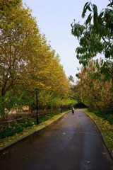DSC01508.JPG