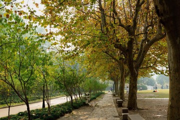DSC01514.JPG