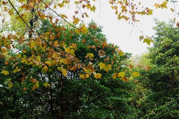 DSC01516.JPG