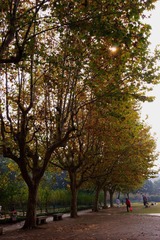 DSC01518.JPG