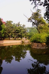 DSC01521.JPG