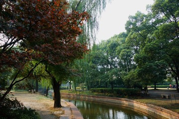 DSC01536.JPG